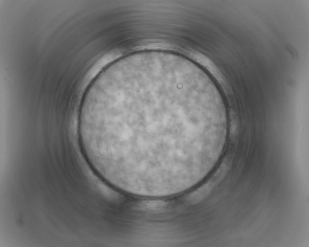 X0000113231282200910221032