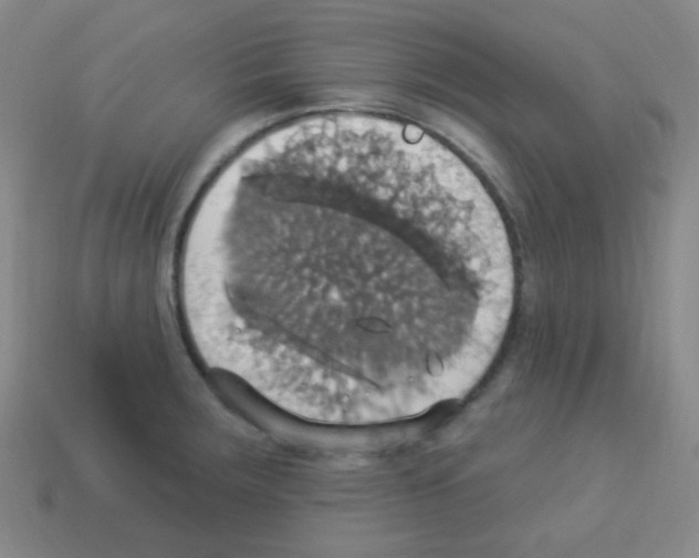 X0000113231283200910221032