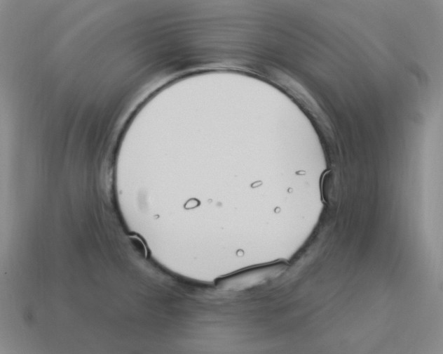 X0000113231284200910221032