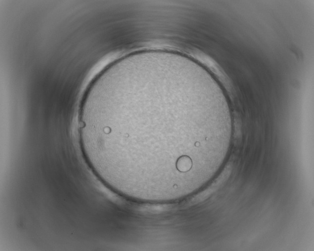 X0000113231286200910221031