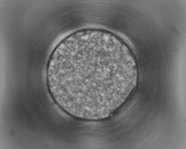 X0000113231287200910221031