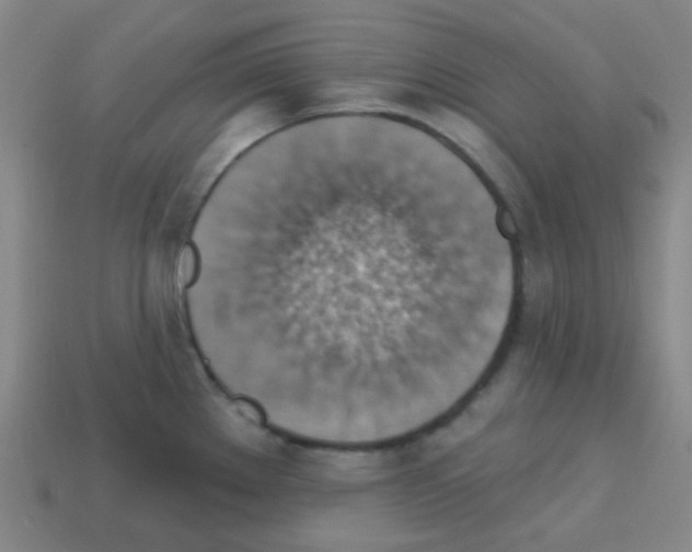 X0000113231289200910221031