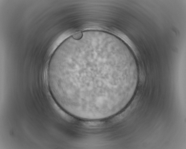 X0000113231290200910221031