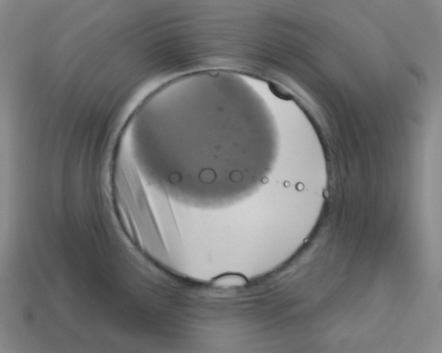 X0000113231291200910221031