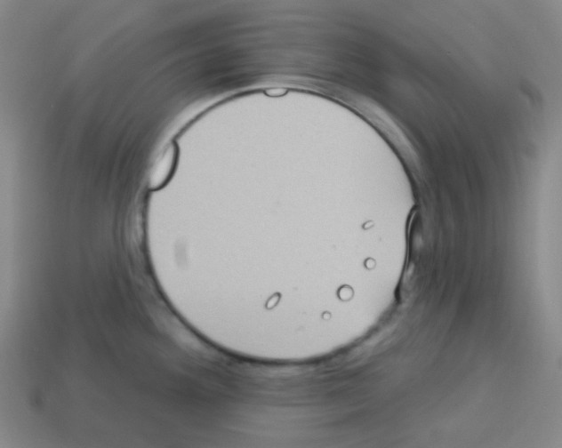 X0000113231292200910221031