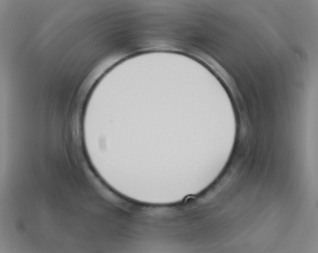 X0000113231293200910221031