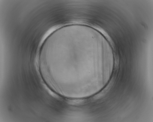 X0000113231294200910221031