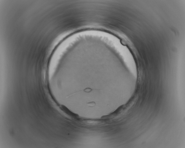 X0000113231295200910221031