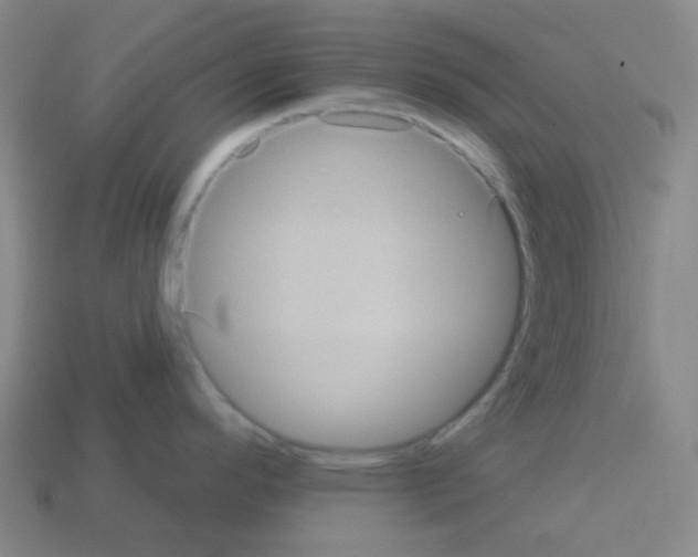 X0000113231296200910221031