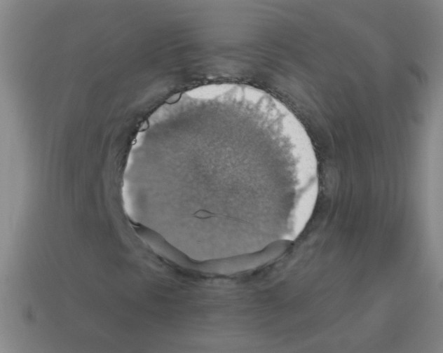 X0000113231297200910221031