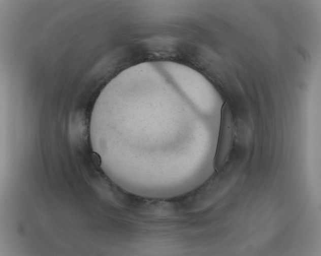 X0000113231298200910221031