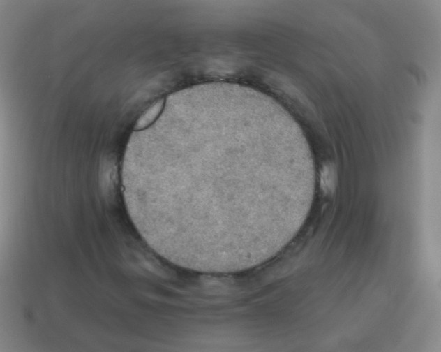 X0000113231299200910221031