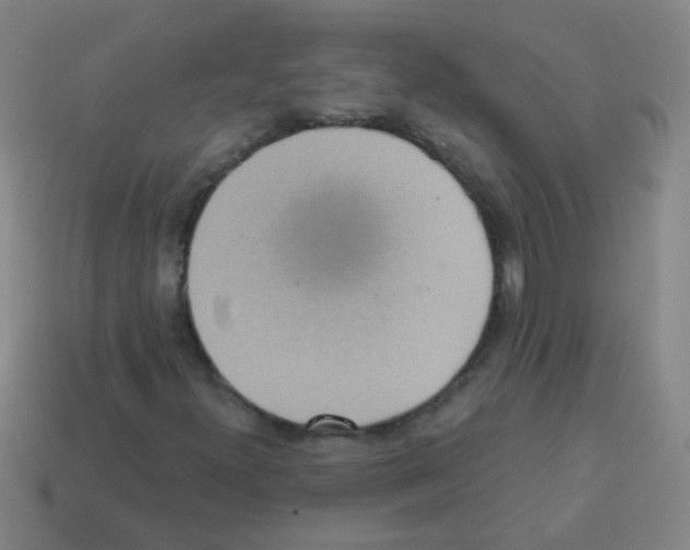 X0000113231300200910221031