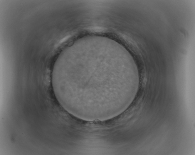 X0000113231301200910221031