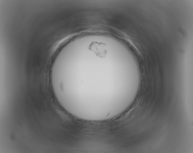 X0000113231304200910221031