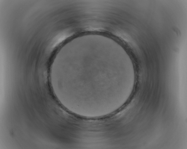 X0000113231306200910221031