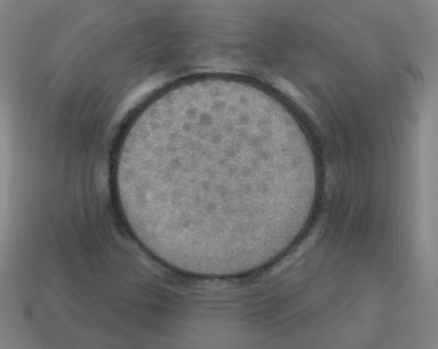 X0000113231307200910221031