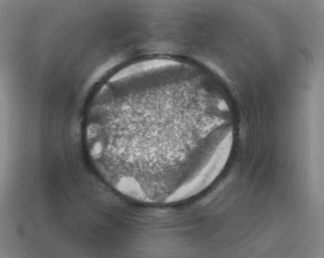 X0000113231309200910221031