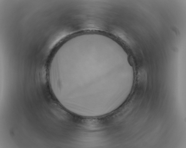 X0000113231310200910221031