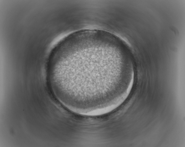 X0000113231311200910221031