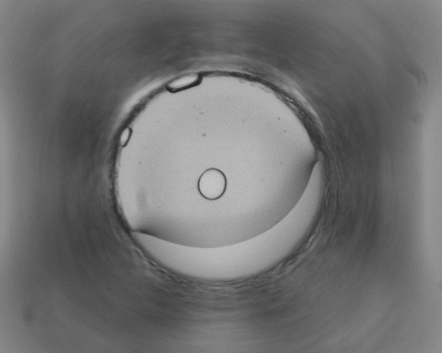 X0000113231312200910221031