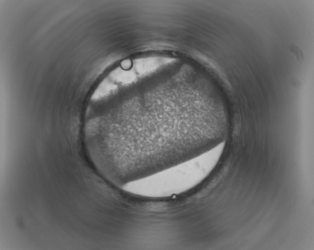 X0000113231313200910221031