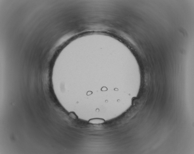 X0000113231315200910221031