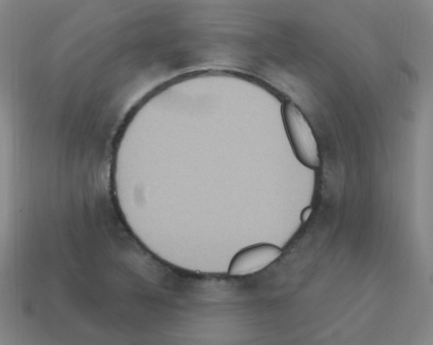 X0000113231316200910221031