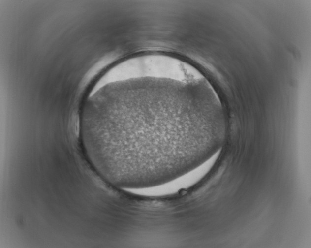 X0000113231317200910221031