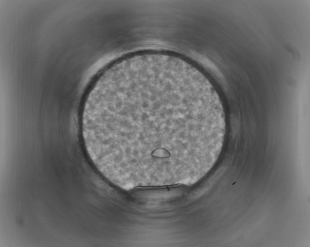 X0000113231318200910221031