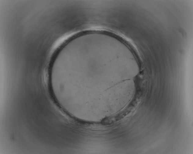 X0000113231319200910221031