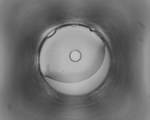 X0000113231320200910221031