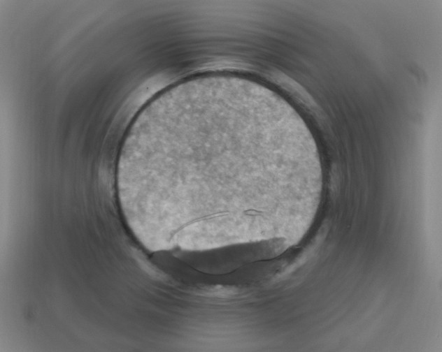 X0000113231321200910221031