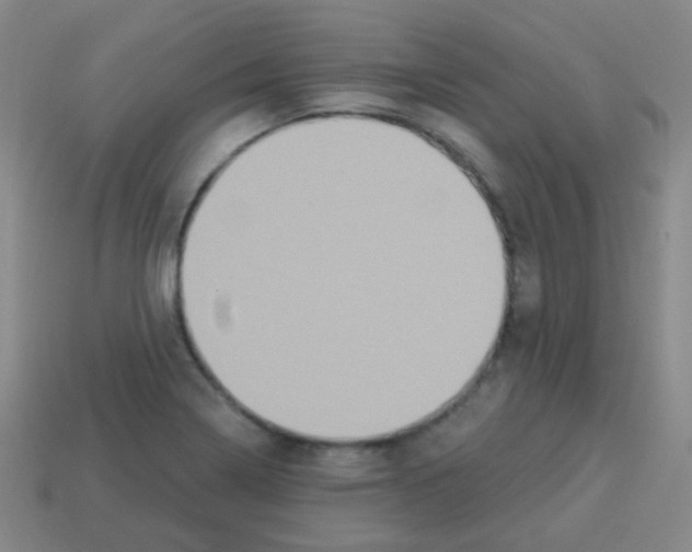 X0000113231322200910221031