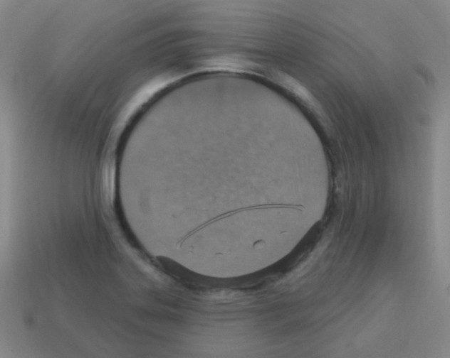 X0000113231323200910221031