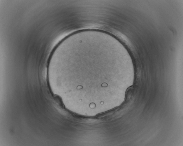 X0000113231324200910221031