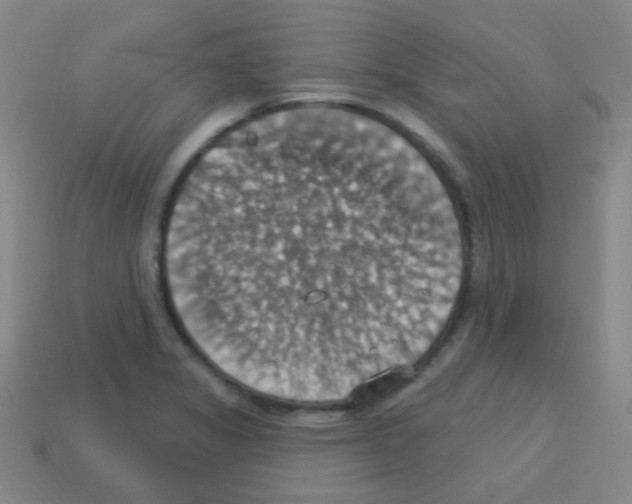 X0000113231325200910221031