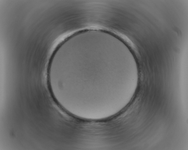 X0000113231327200910221031