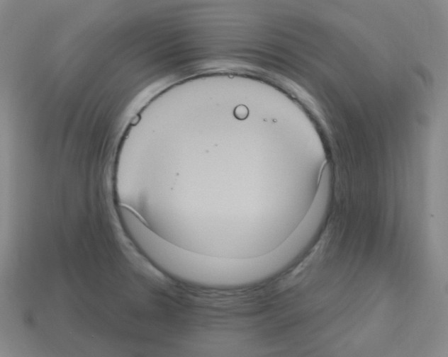 X0000113231330200910221031