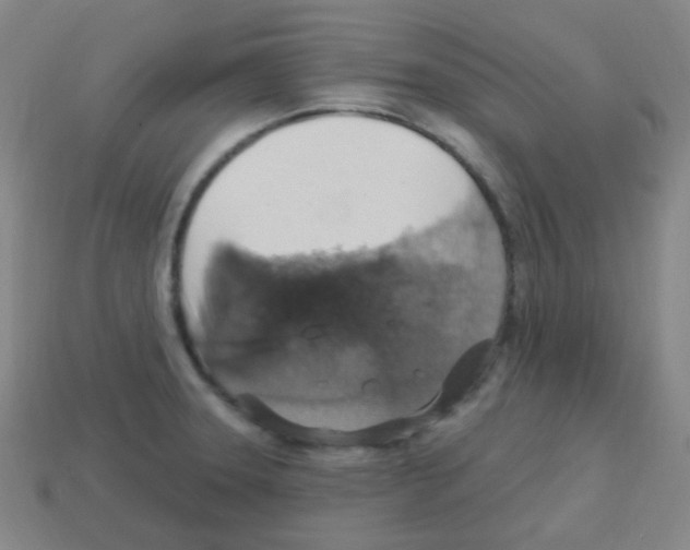 X0000113231331200910221031