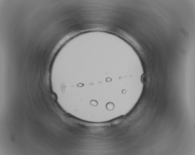 X0000113231332200910221031