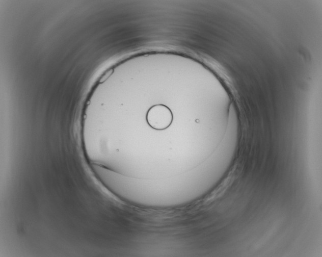 X0000113231334200910221031