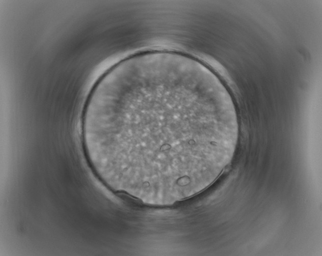 X0000113231335200910221031