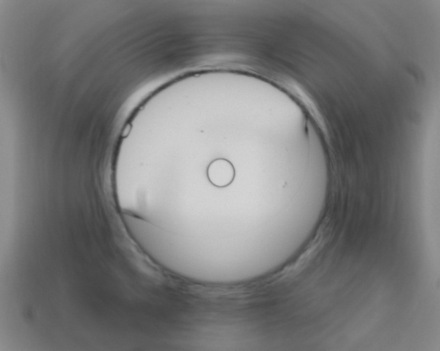 X0000113231336200910221031