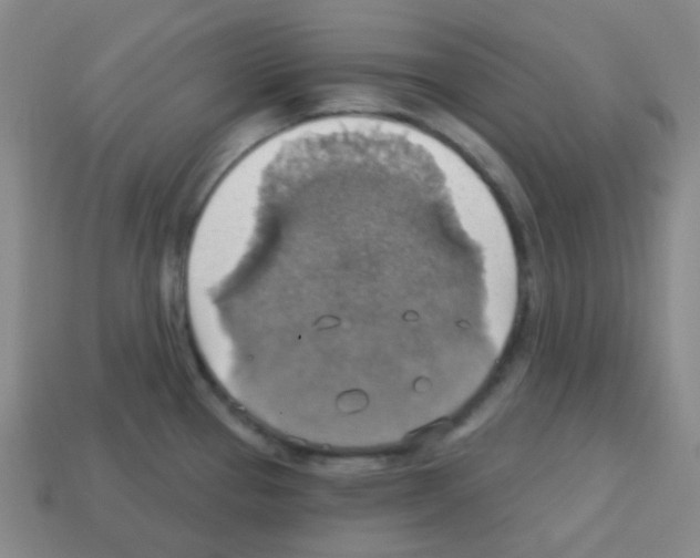 X0000113231337200910221031