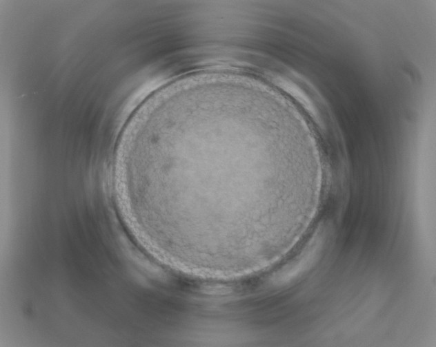 X0000113231338200910221031