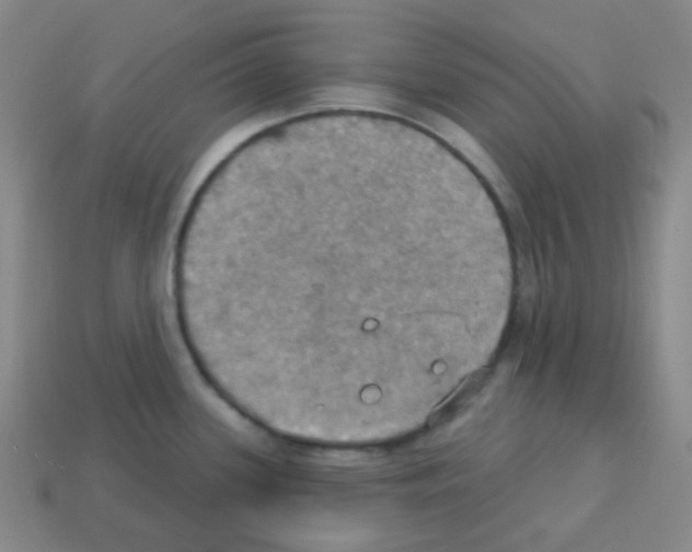 X0000113231339200910221031