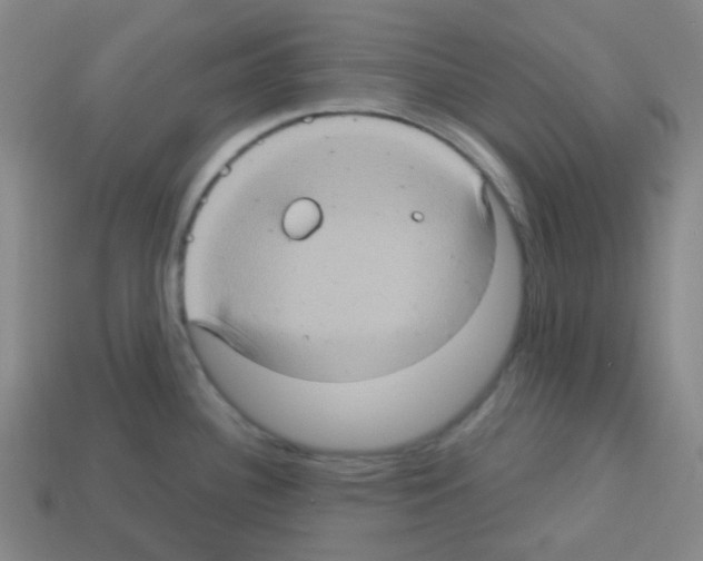 X0000113231340200910221031