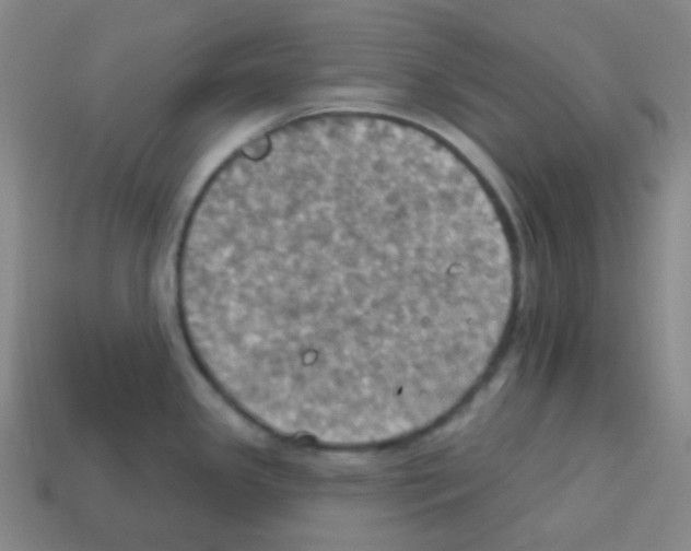 X0000113231341200910221031