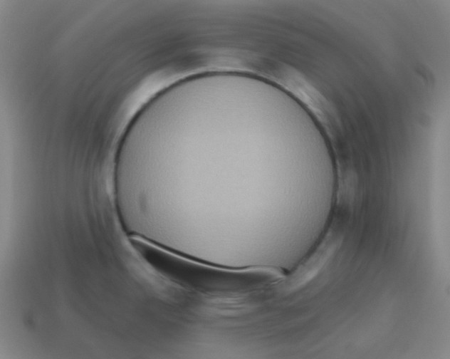 X0000113231342200910221031